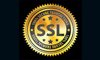 SSL Seal